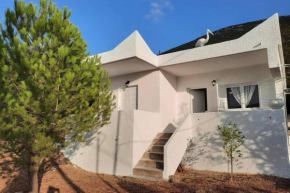 White Villa in Olive trees and Seaview to Panagia